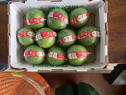 Pomelo