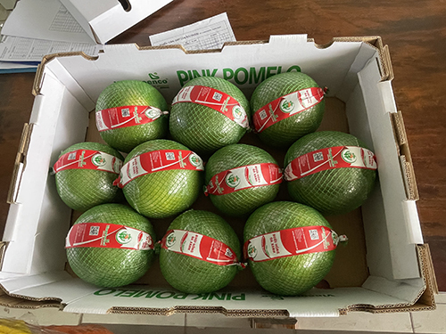 Pomelo