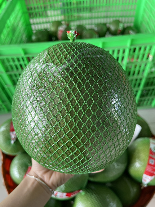 Pomelo
