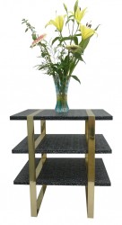 Daphoco faux turtle table with brass legs-The 3-shelf