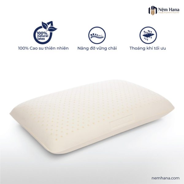 Lien A oval rubber pillow