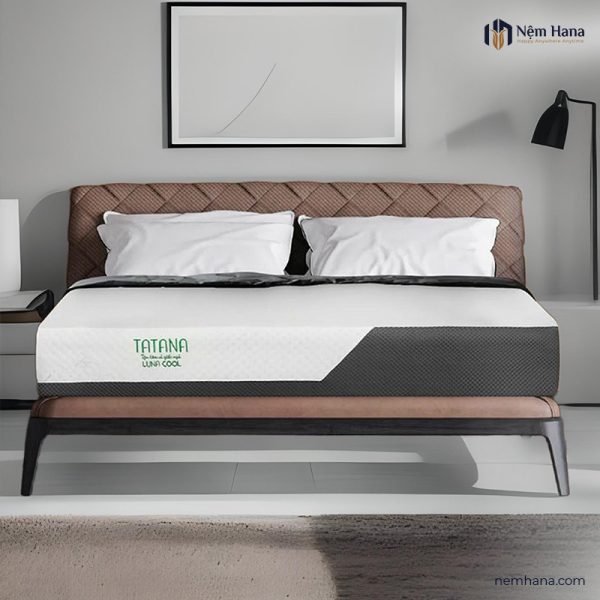 Tatana Luna Cool Foam Mattress