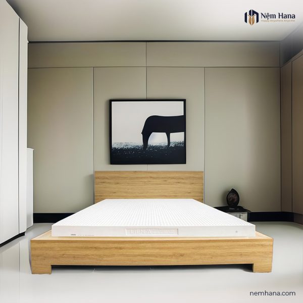 Lien A Classic latex mattress