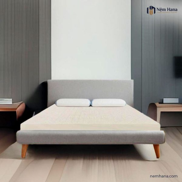 Van Thanh Segovia latex mattress