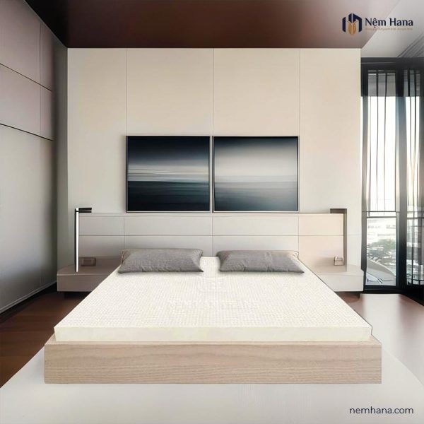 Van Thanh Standard latex mattress