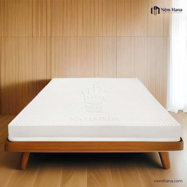 Van Thanh Unique Plus latex mattress