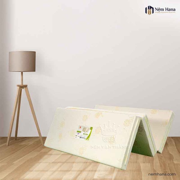Van Thanh Ultra Care pressed rubber mattress