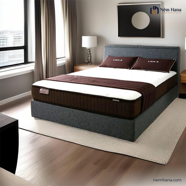 Lien A Cocoon 2.0 Firm spring mattress