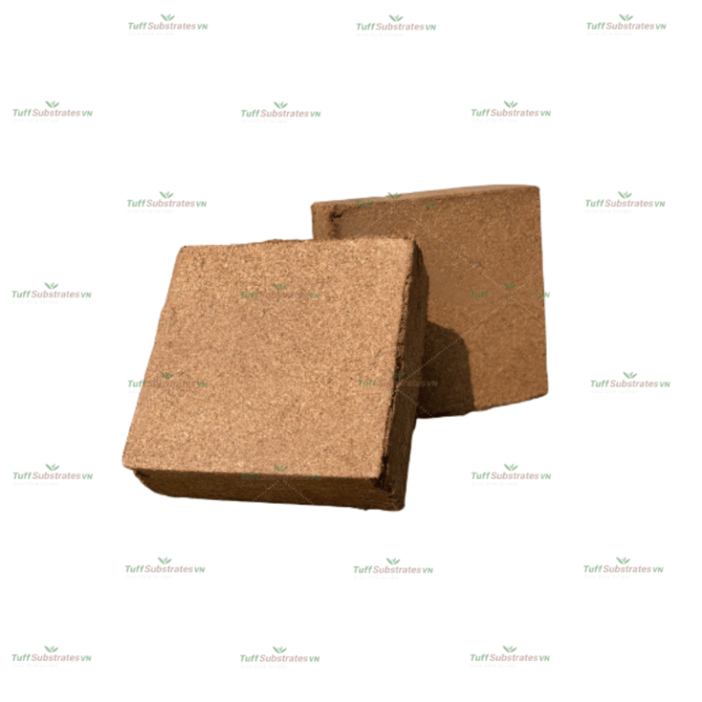 5kg coco peat block