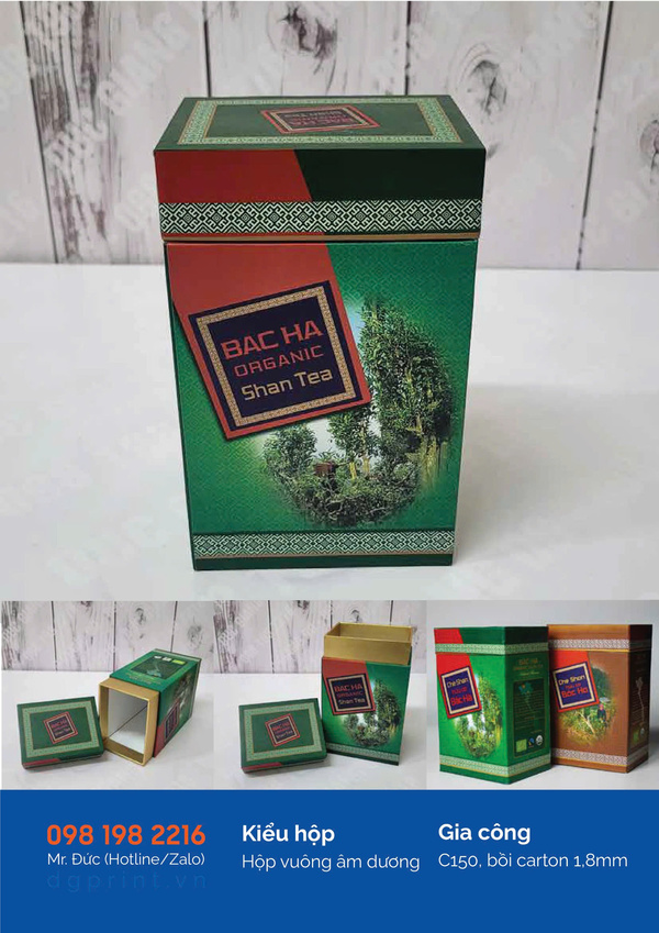 Rigid shoulder box (Yin-Yang box)