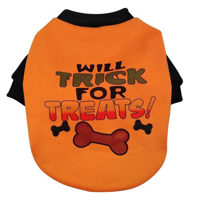 Haloween shirt dog