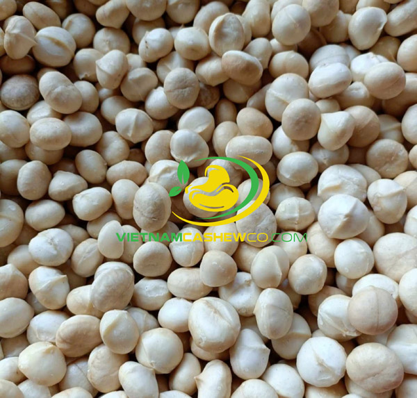 Whole macadamia nuts