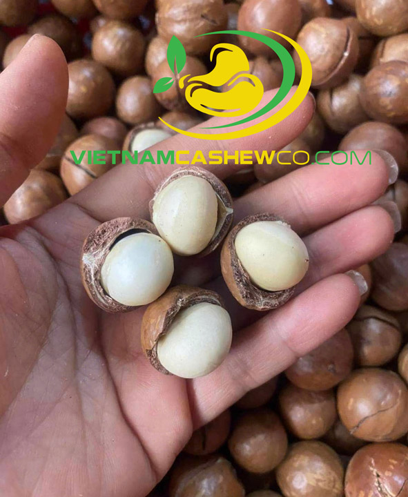 Cracked macadamia nuts