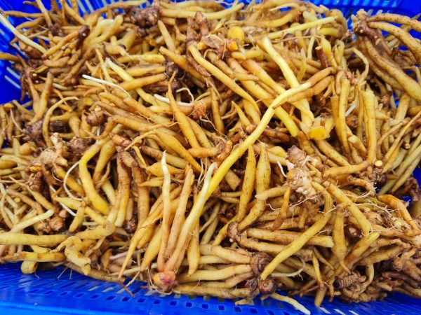 Wormwood mud powder