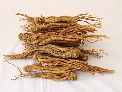 Radix angelicae sinensis