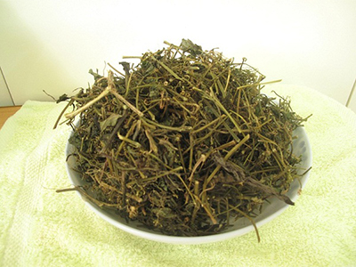 Dried gynostemma herb