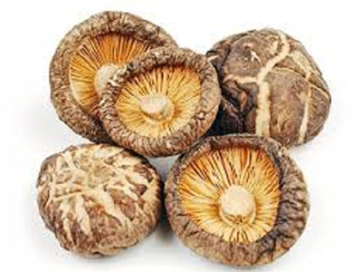 Lentinula edodes