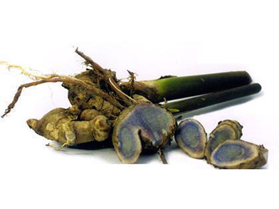 Black turmeric