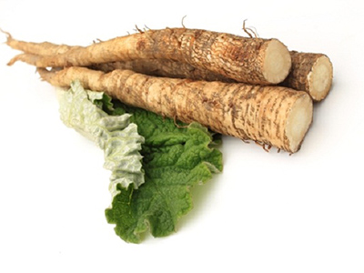 Burdock