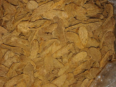 Homalomena