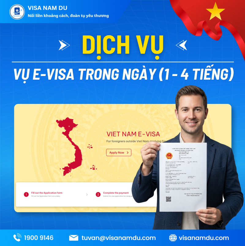 E-visa service