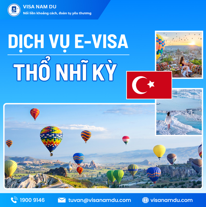 E-visa service