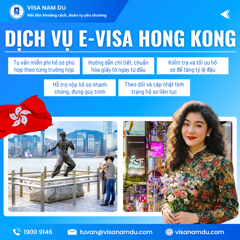 E-visa service