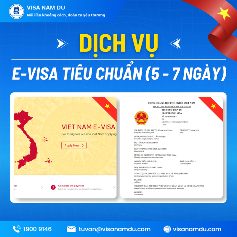 E-visa service