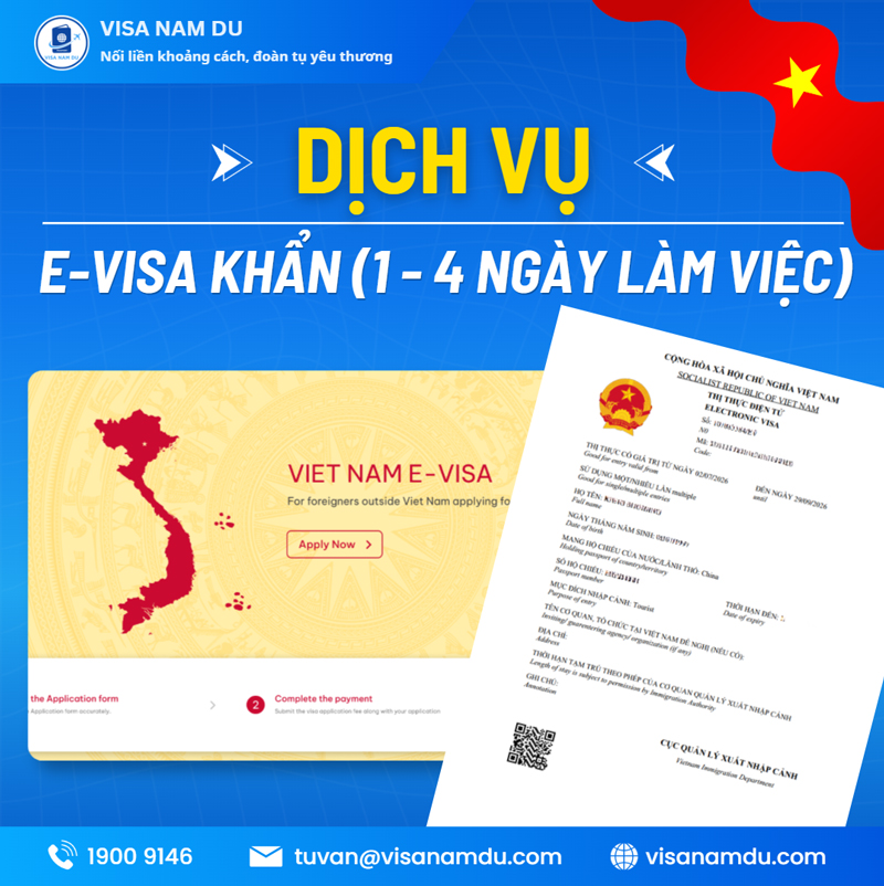 E-visa service