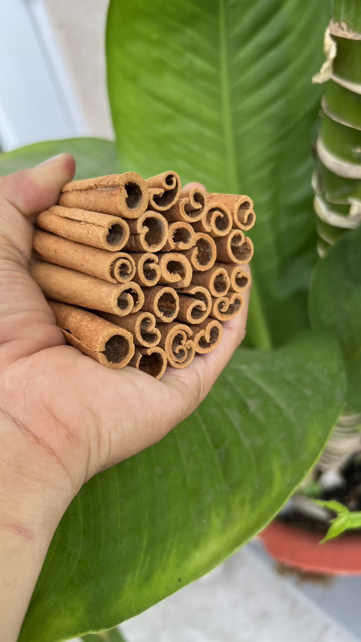 Cinnamon stick