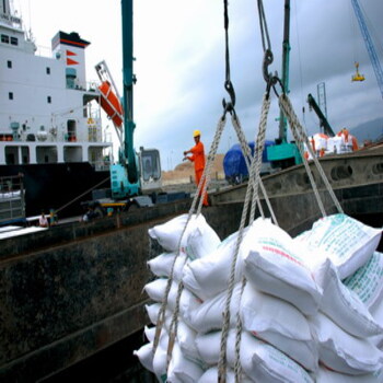 Cargo lifting ropes