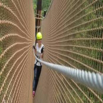 Safety nets