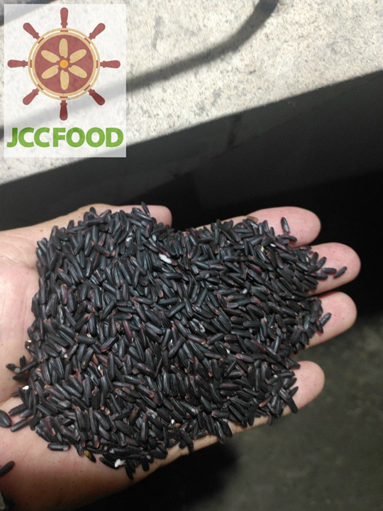 Black rice