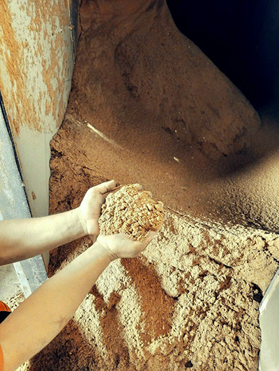 Beef bone meal