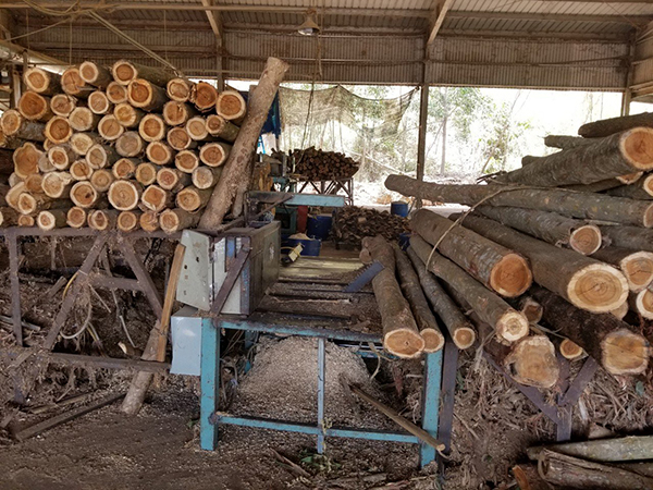 Acacia wood, Teak wood
