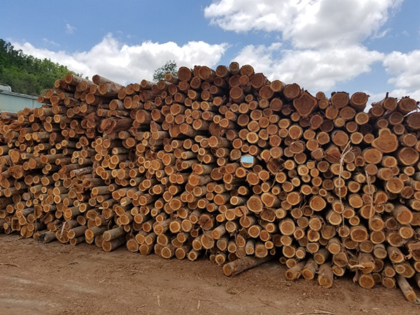 Acacia wood, Teak wood