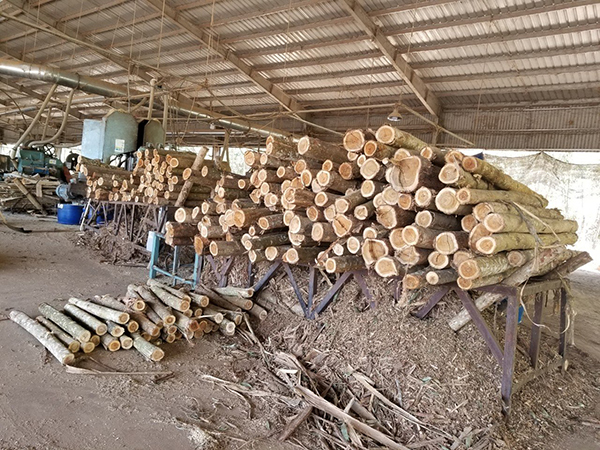 Acacia wood, Teak wood