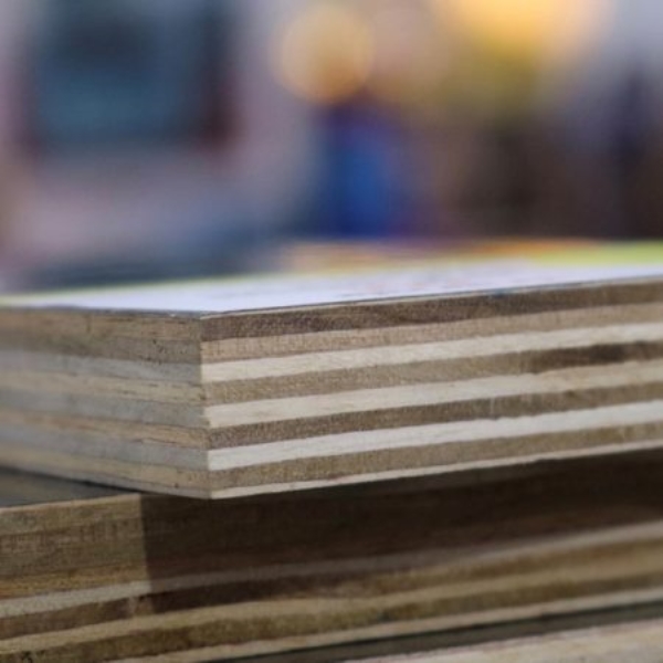 Construction plywood