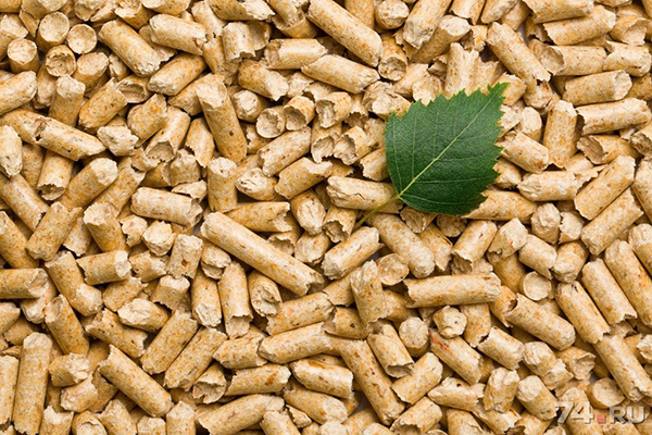 Wood pellet