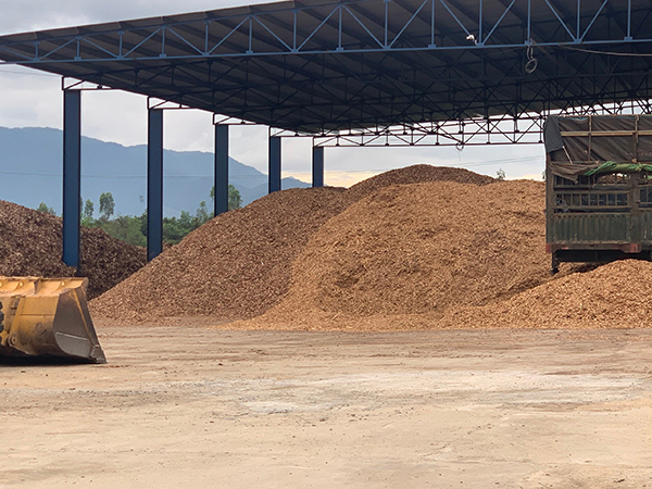 Wood pellet