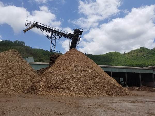 Wood pellet