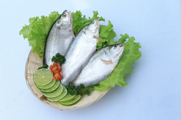 Strabismus fish