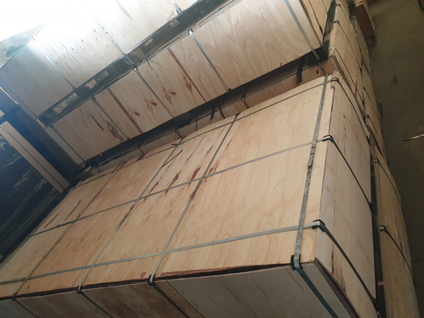 Plywood