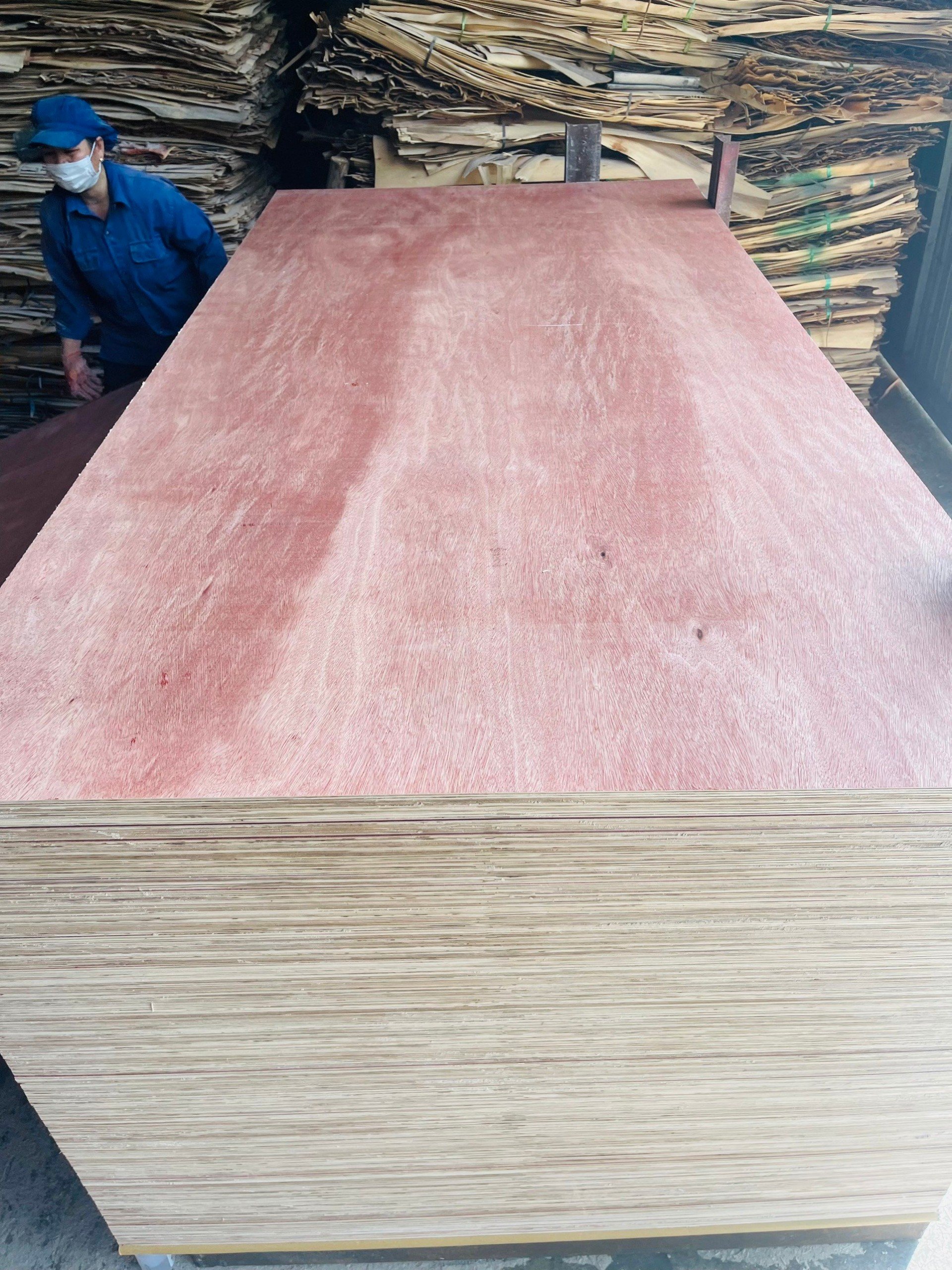 Bintagor commercial plywood