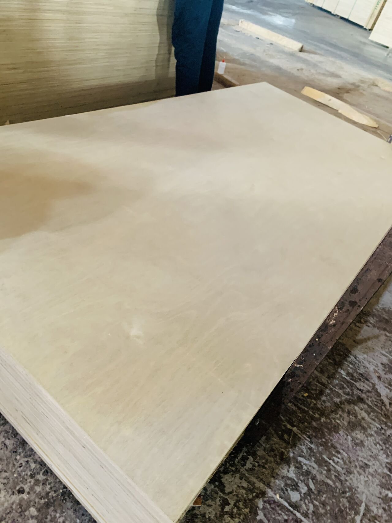 Birch plywood
