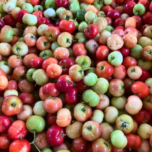 Fresh acerola fruit