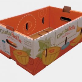 Cardboard box