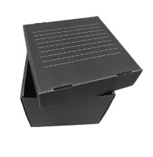 PP corrugated box with removable lid