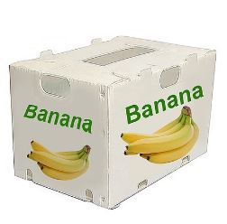 PP corrugated box for bananas