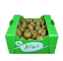 PP corrugated box for kiwi